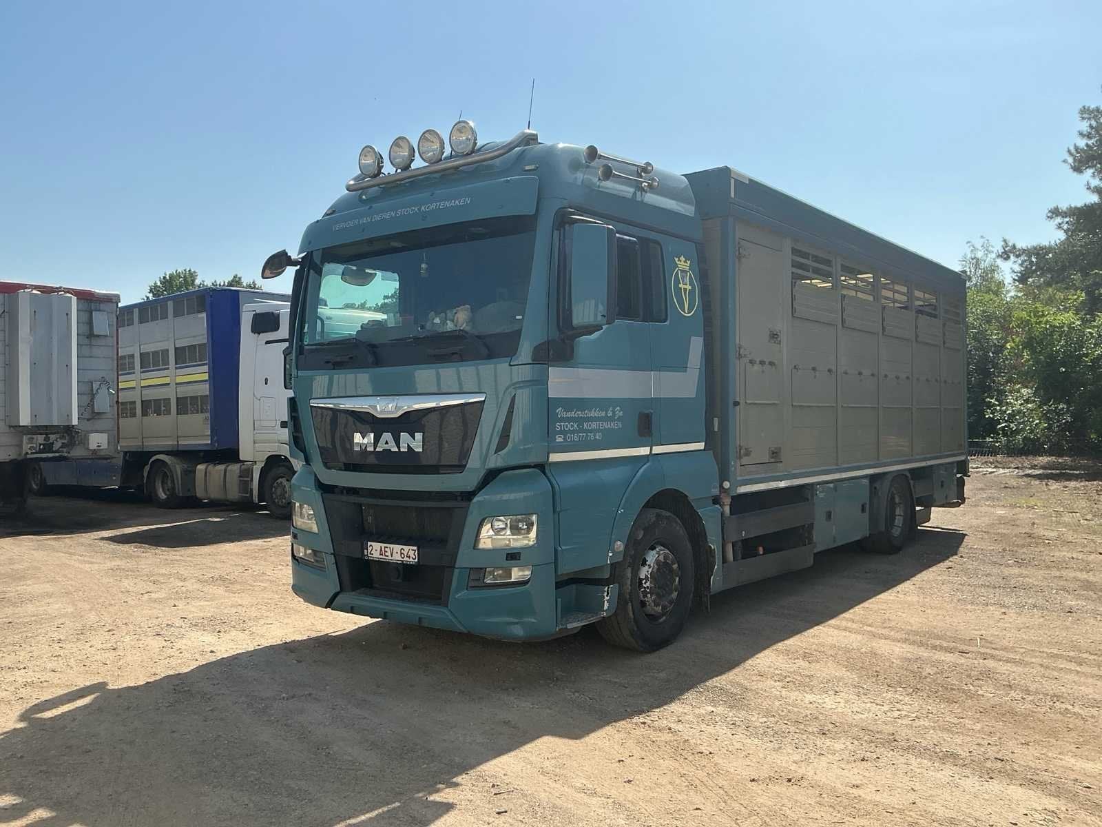 2014 MAN TGX Dierentrasnport Vrachtwagen, Euro 6, Bedrijf, Te koop, MAN