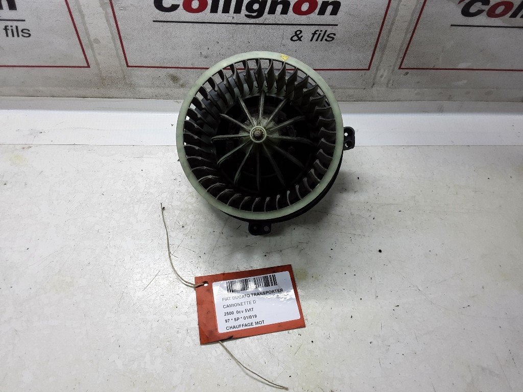 RADIATEUR MOTEUR Fiat 500 (312) (01-2007/12-2012), Autos : Pièces & Accessoires, Mevr. I. Hauben, Utilisé, Fiat, Rue de l'Espoir 34 34
4030  GRIVEGNÉE, BE