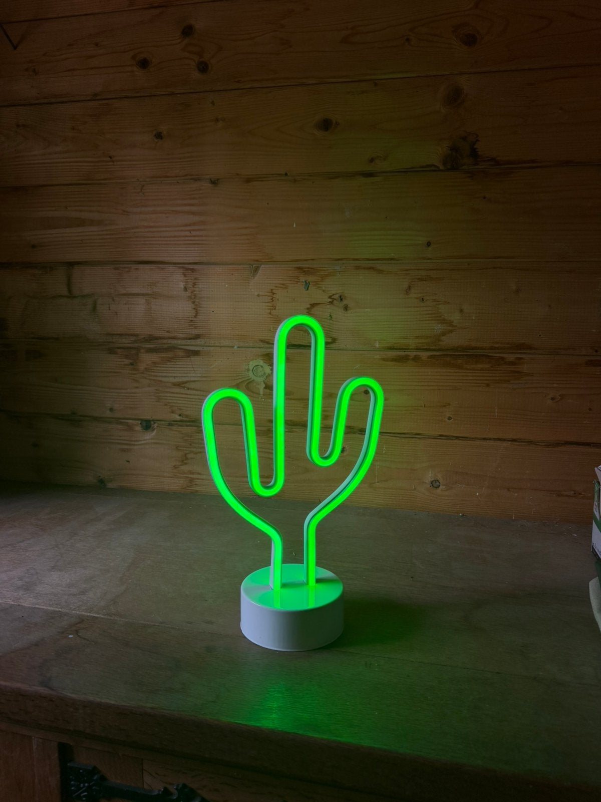Lampe neon cactus, Enlèvement, Comme neuf
