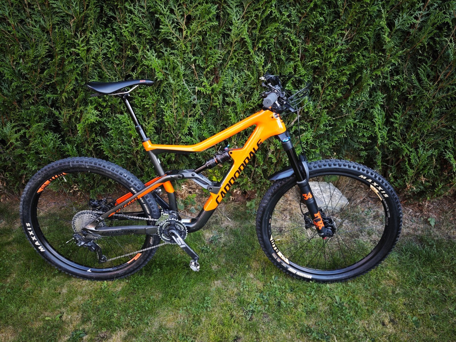 Cannondale carbone, Enlèvement