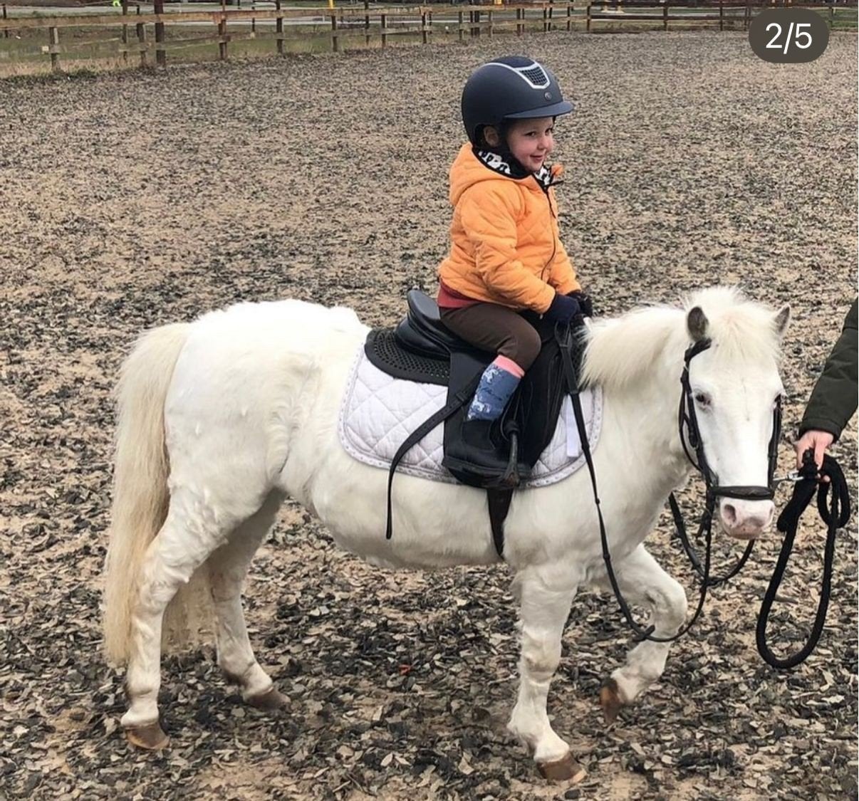 Super brave A few spot pony, Merrie, Zadelmak, A pony (tot 1.17m), Gechipt