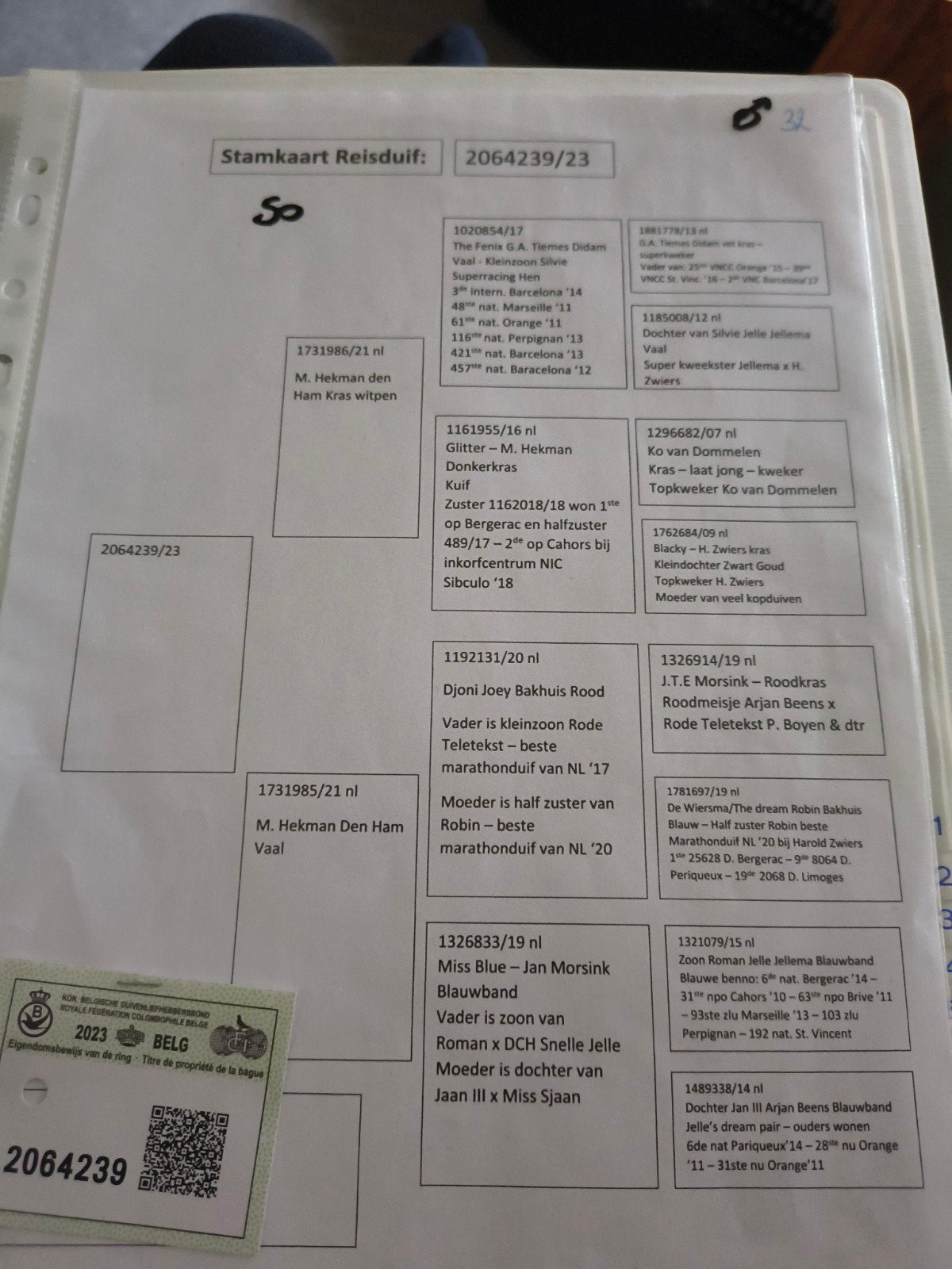 duiver zware fond Hekman Den Ham Bakhuis
