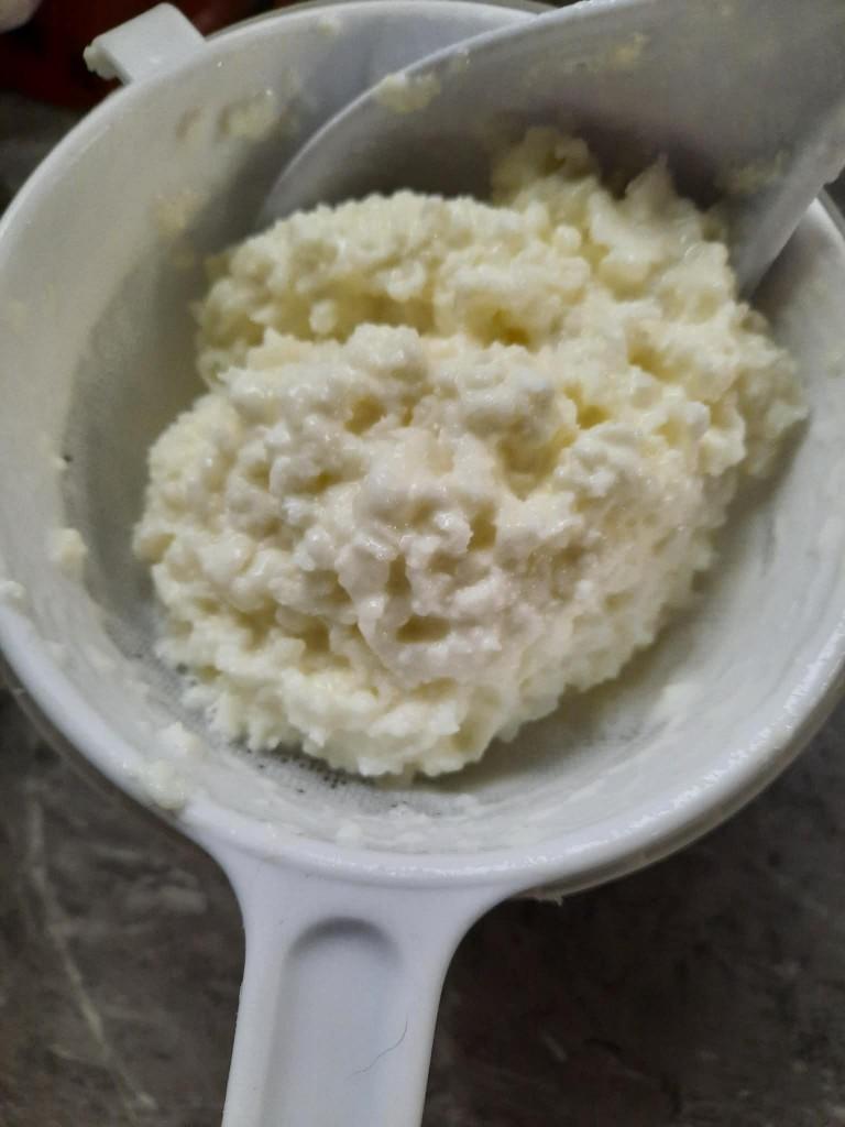 Kefir korrels, Diversen, Ophalen of Verzenden