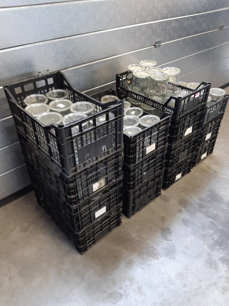123 pots de stérilisation Weck avec couvercles, Enlèvement, Utilisé
