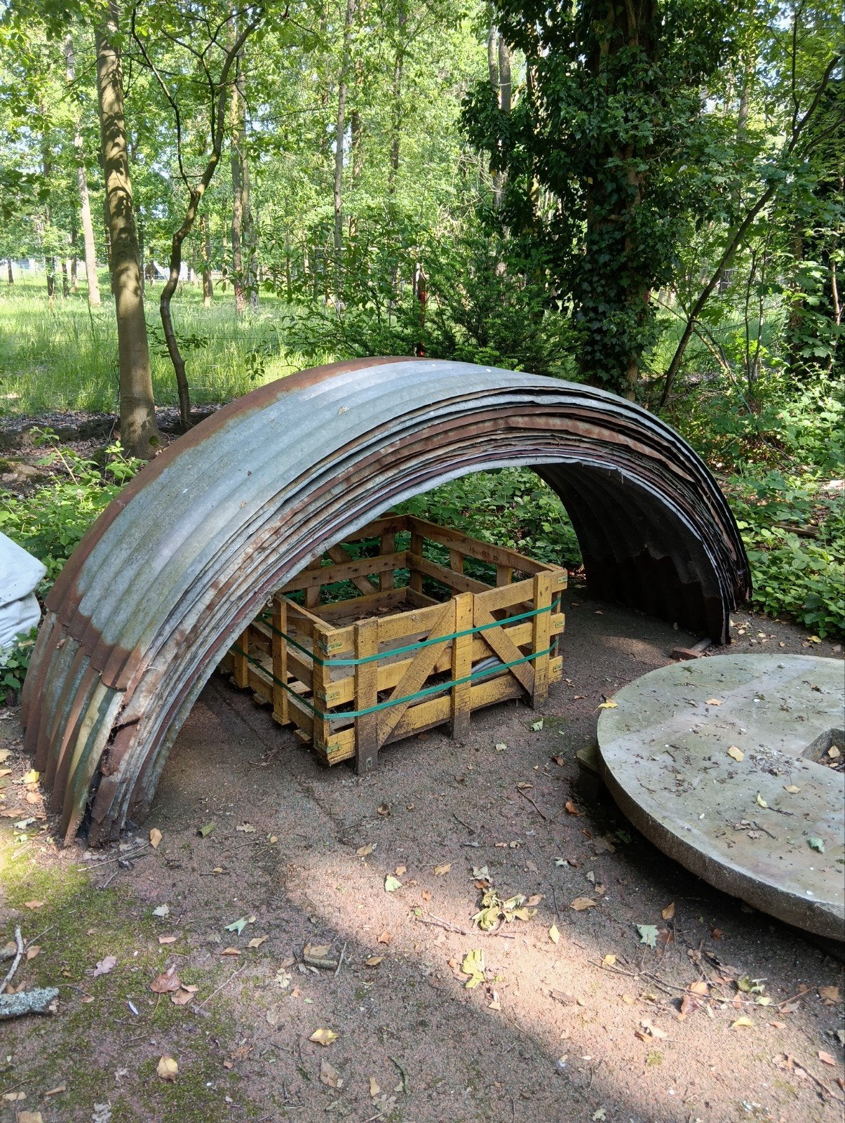 Witloofplaten 17 stuks, Ophalen