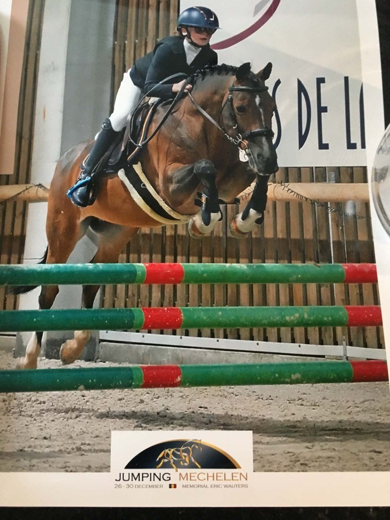 Sportpony te koop, Dieren en Toebehoren, Met stamboom, Ruin, M, Springpony
