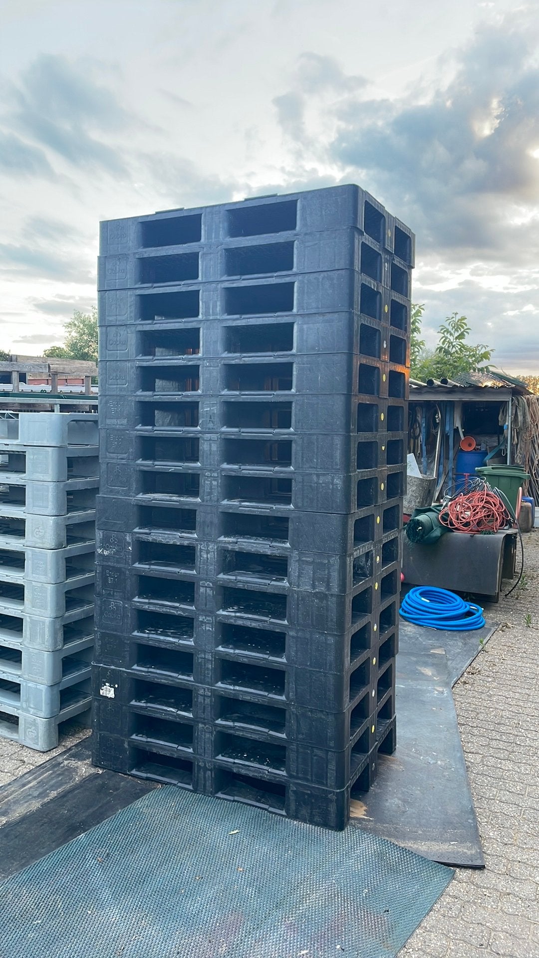 Palettes en plastique, Enlèvement, Comme neuf