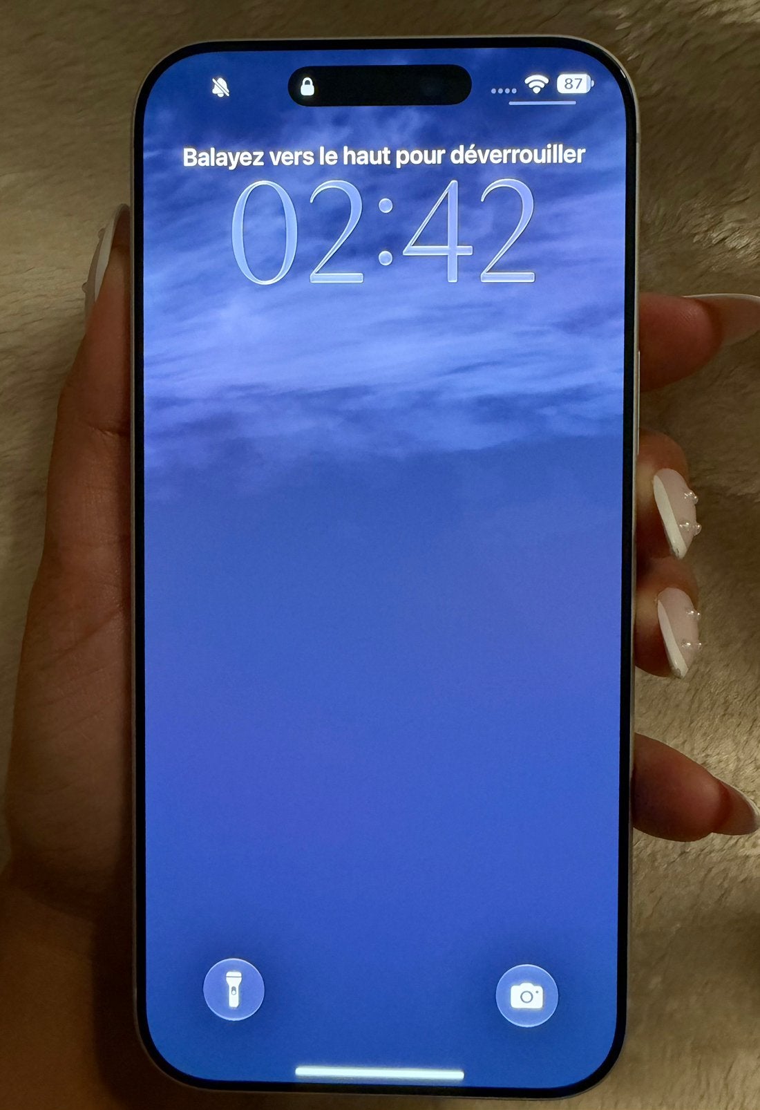 APPLE iPhone 17 Pro Max - 5G - 512 GB - Zilver, Ophalen of Verzenden, 512 GB
