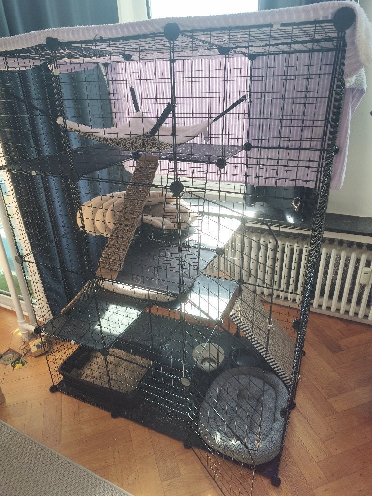 Katten bench, Ophalen, Nieuw