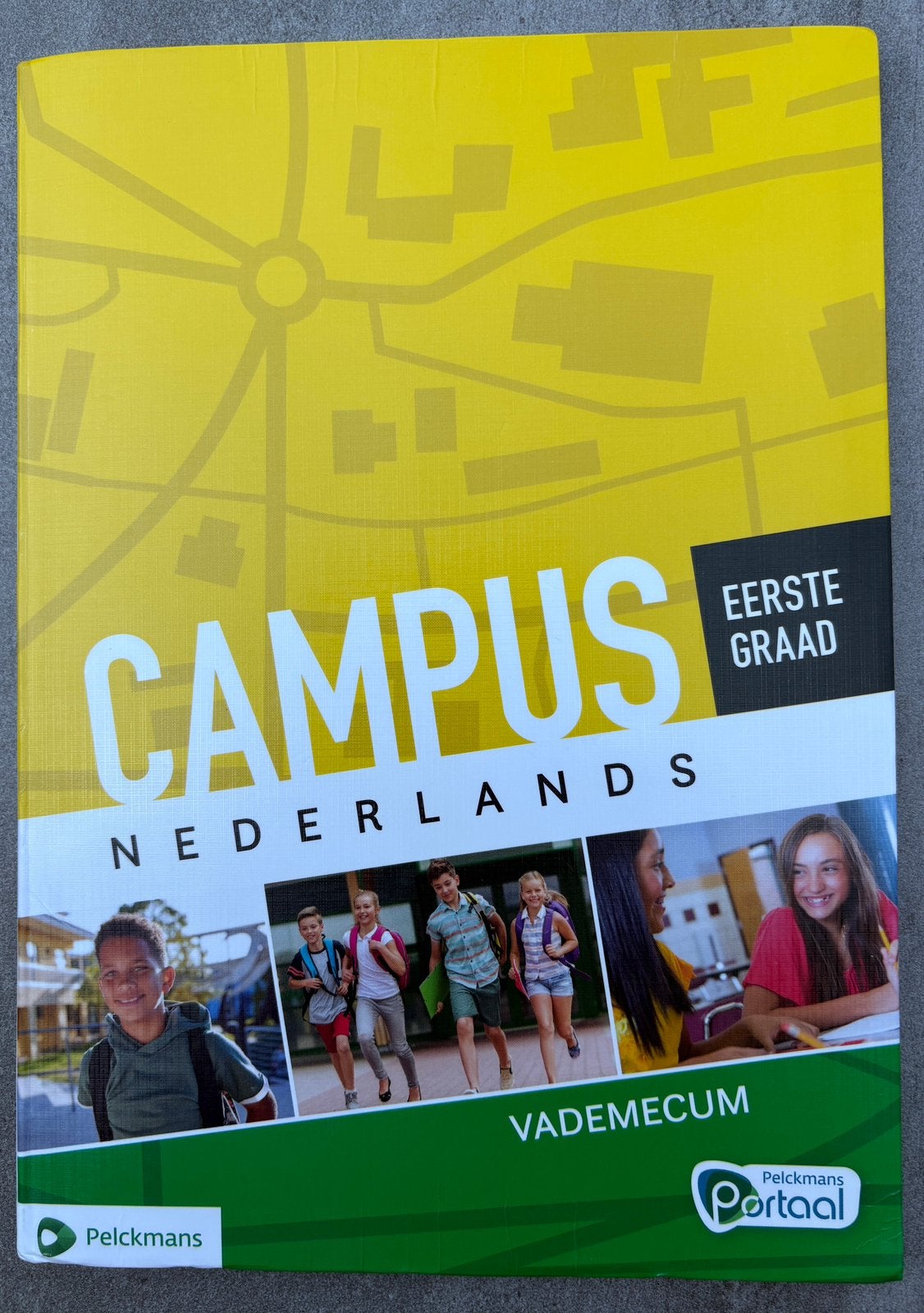 Campus Nederlands Vademecum - eerste graad, Ophalen of Verzenden, Zo goed als nieuw, Nederlands