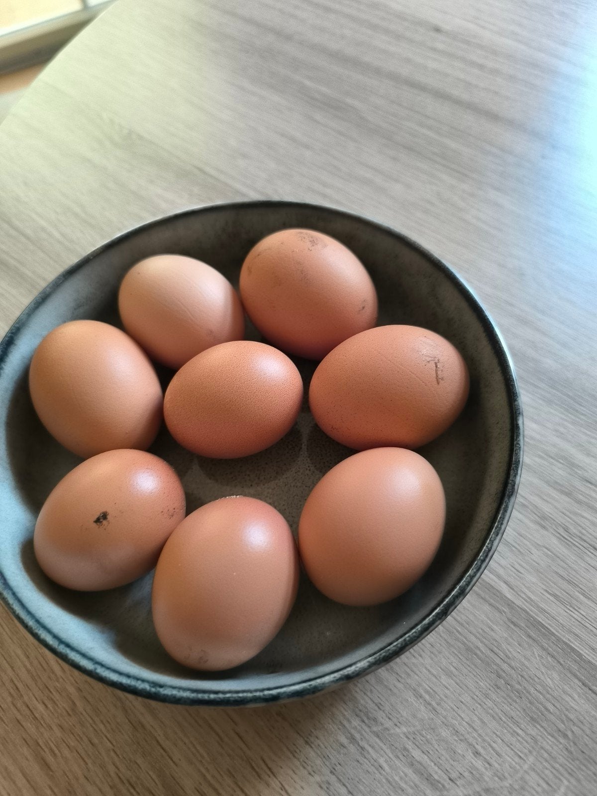 verse eieren te koop, Diversen, Ophalen