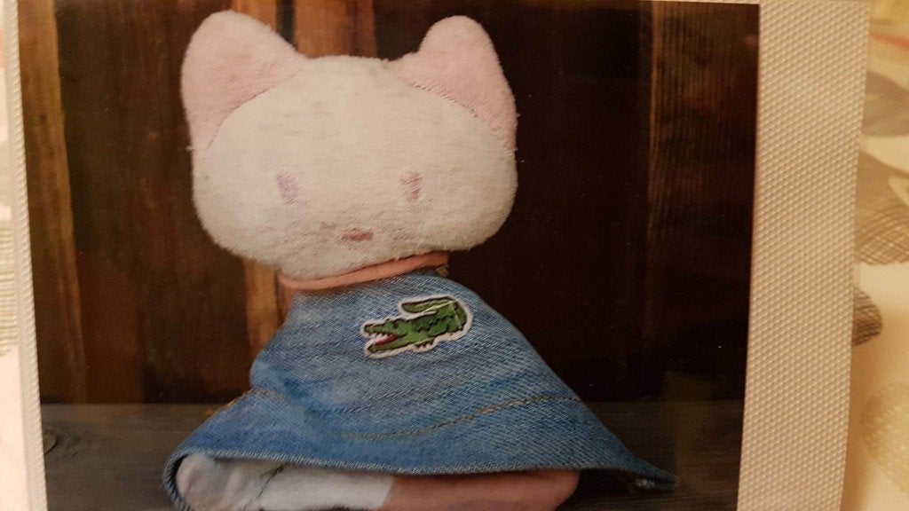 !GEZOCHT! - poesje teddybeer, Gebruikt, Prénatal, Ophalen of Verzenden, Kat