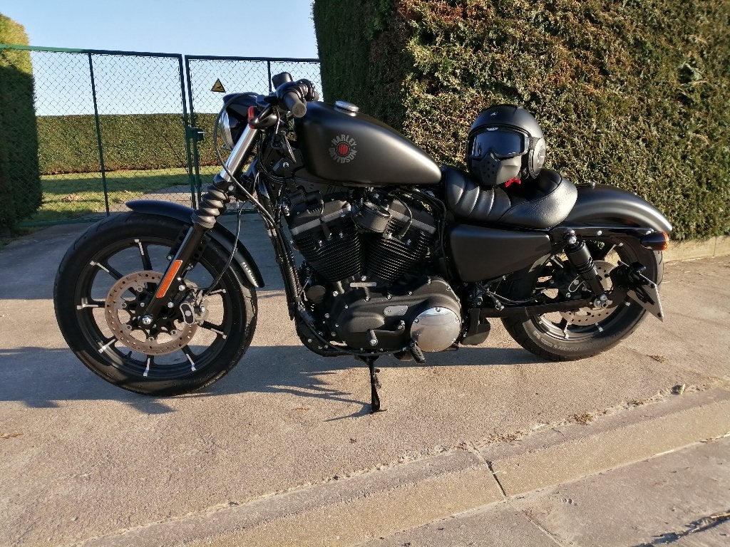 Harley Davidson Iron 883, Plus de 35 kW, Chopper, 2 cylindres, Neuf