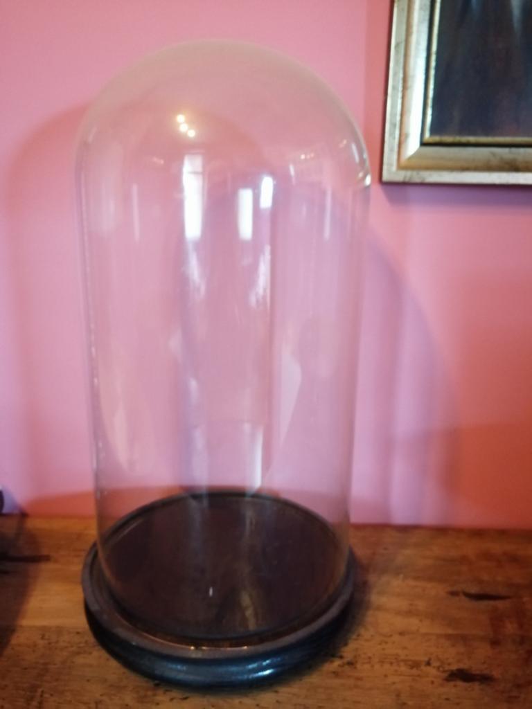 Grand dôme en verre rond antique sur base en bois, Antiquités & Art, Enlèvement