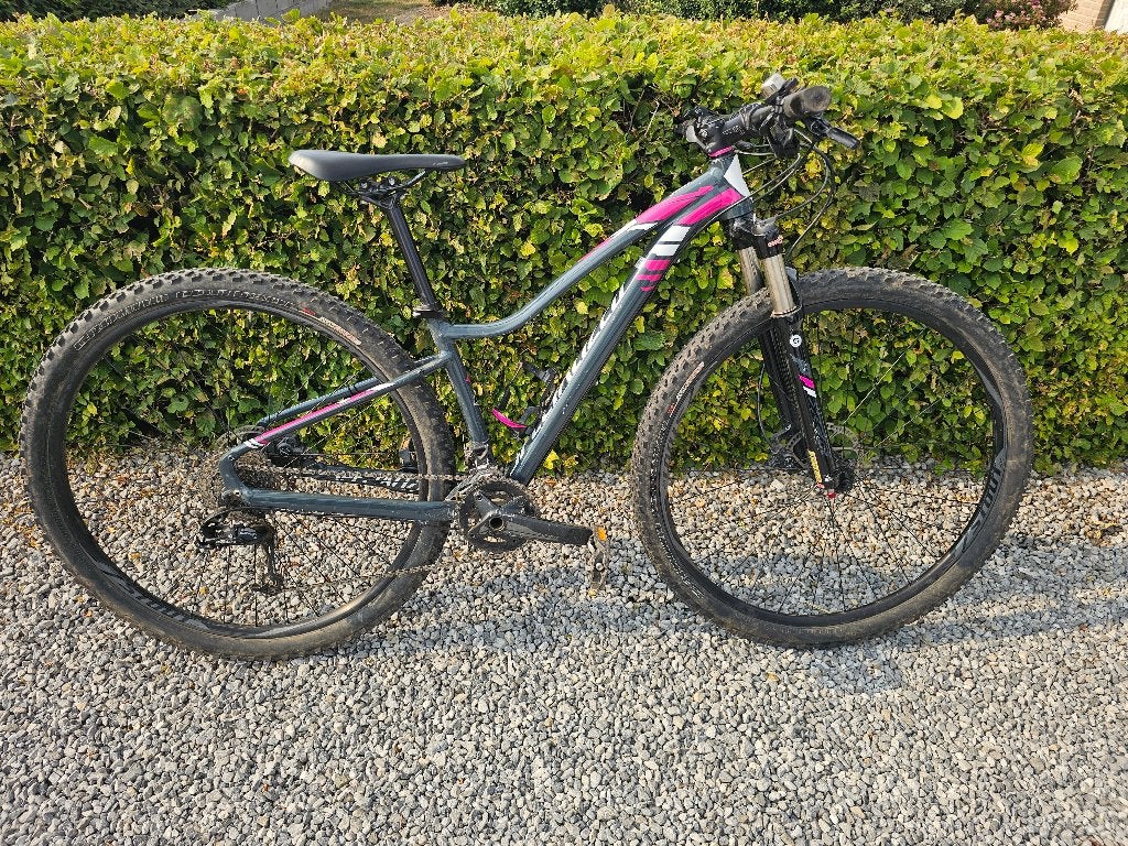 Vtt dame specialized de 2016, Vélos & Vélomoteurs, Autres marques, Femmes, Enlèvement, Frein à disque