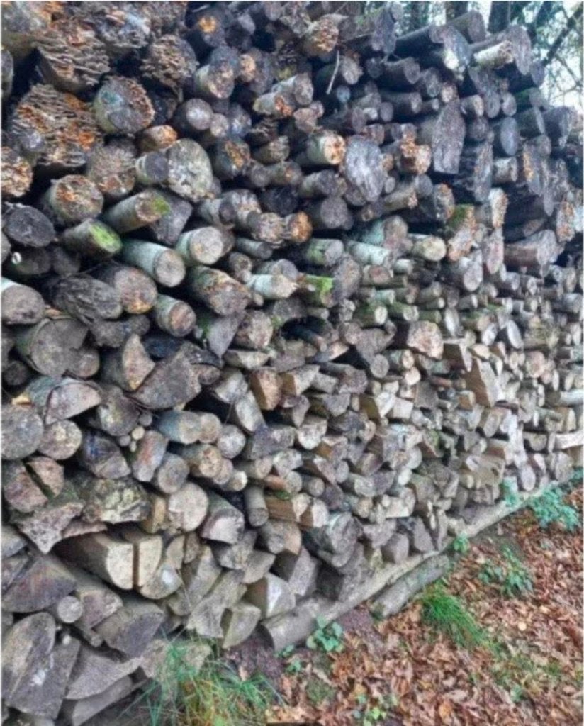 Bois de chauffage sec, 3 tot 6 m³, Ophalen, Eikenhout, Blokken