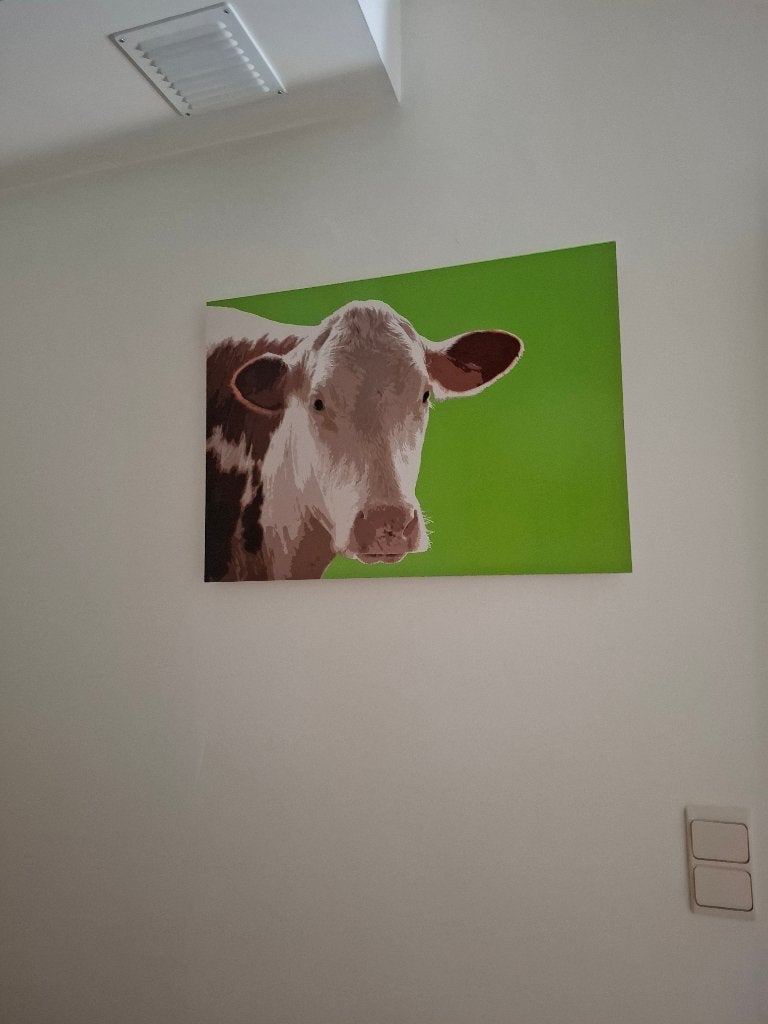 Leuke prent / poster met koe, Comme neuf, Enlèvement, 50 à 75 cm, Imprimé