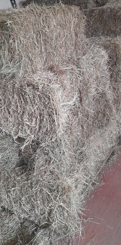 Kleine botten hooi, Ophalen