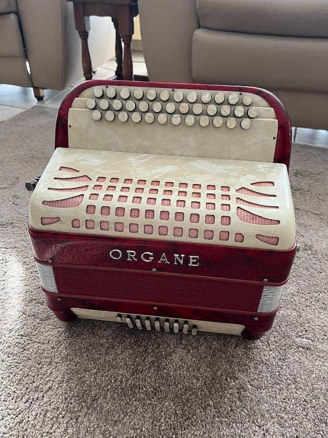Accordeon Organe, Musique & Instruments, Enlèvement, Avec bretelles