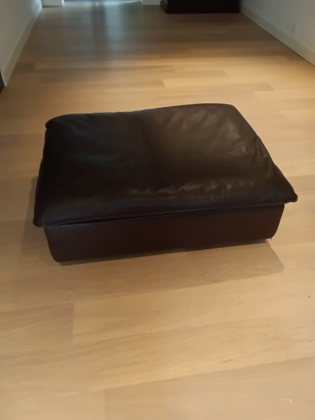 Poef bruin leder Belgisch design, Huis en Inrichting, Ophalen, Gebruikt, Leer