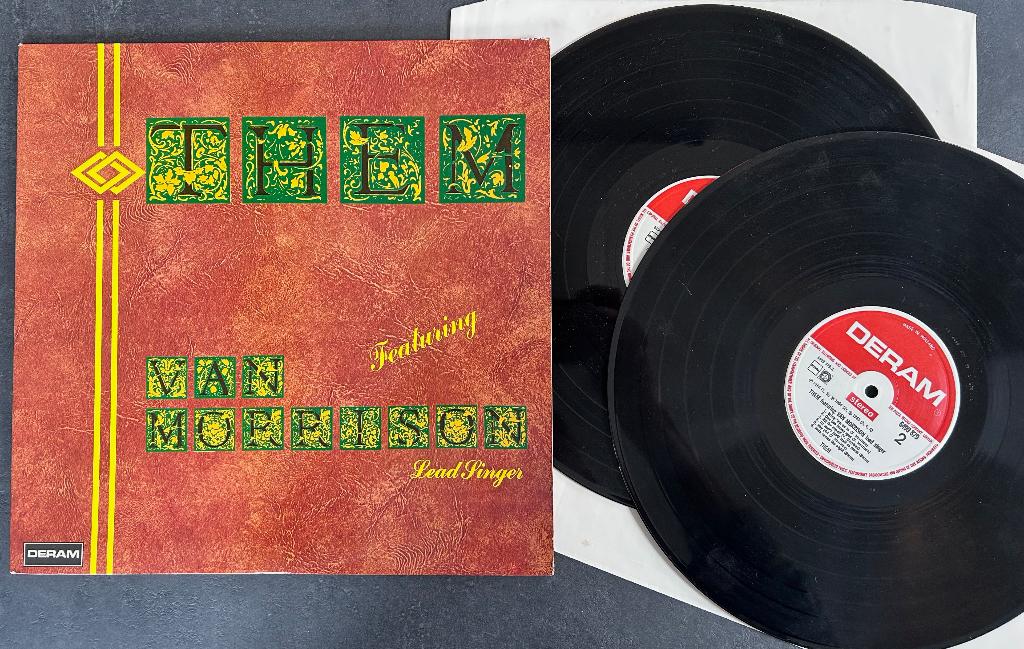 THEM - Featuring Van Morrison Leadsinger ( 2LP ), Cd's en Dvd's, Verzenden, 12 inch, Poprock