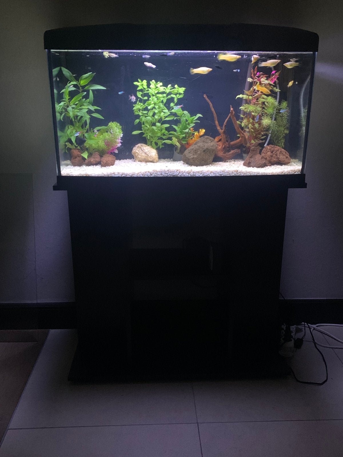 Aquarium ferplast met zwart bijpassend meubel, Ophalen, Zo goed als nieuw