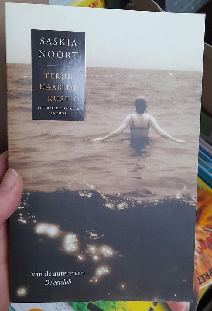 Boek ' Saskia Noort terug naar de zee', Ophalen of Verzenden, Zo goed als nieuw