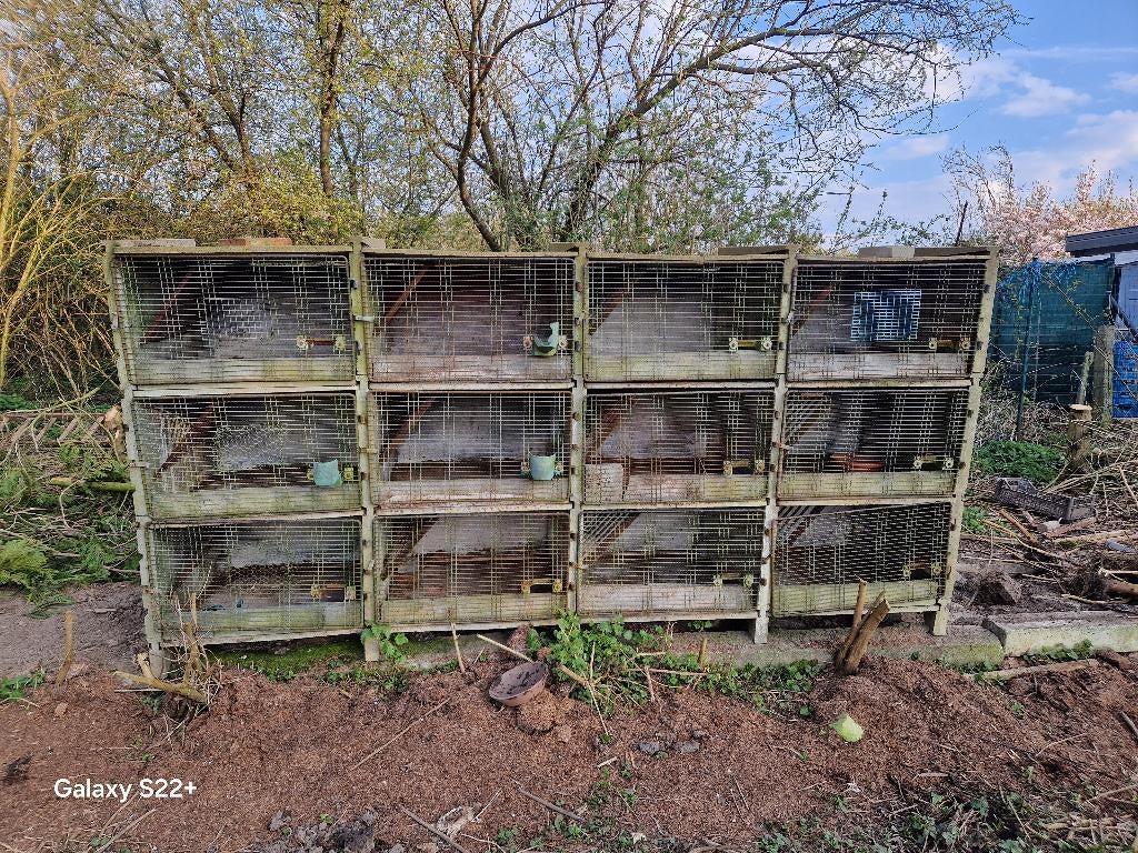 Betonnen hokken, Dieren en Toebehoren, Ophalen, Kooi, Gebruikt, 60 tot 90 cm