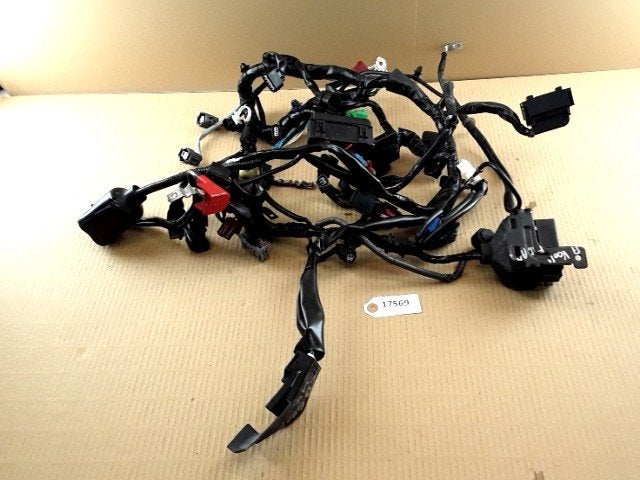 CB500F 2013 - 2017 Honda Kabelboom Kabelboom hoofd D1-31305