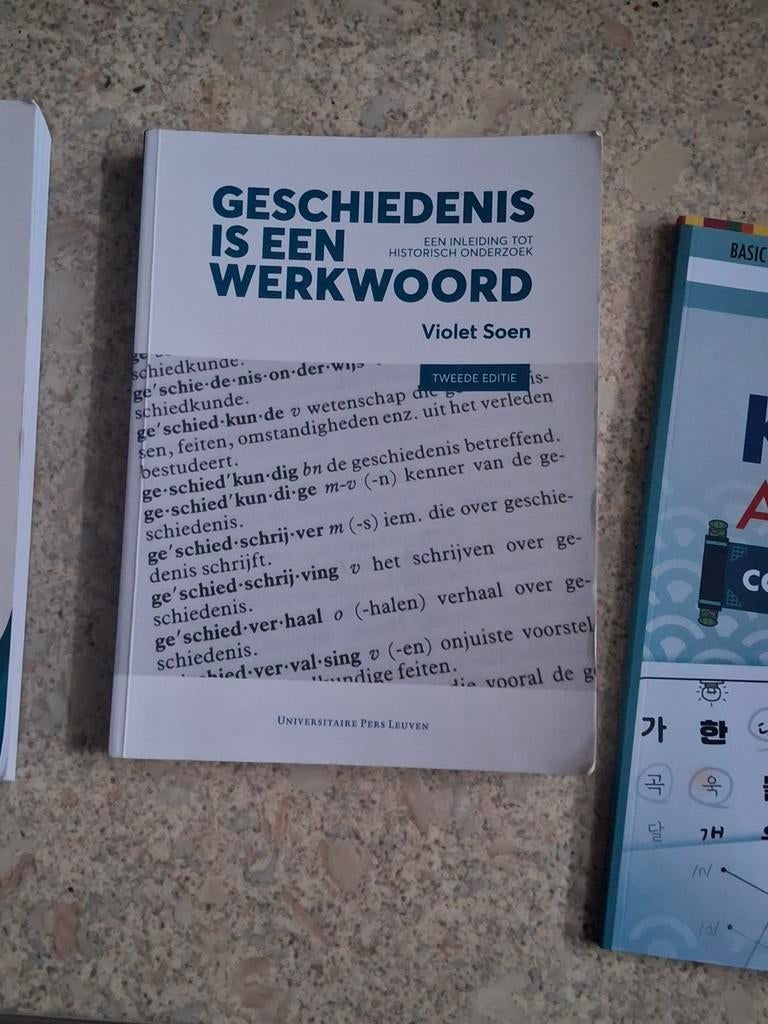 Violet Soen - Geschiedenis is een werkwoord, Boeken, Ophalen of Verzenden, Violet Soen
