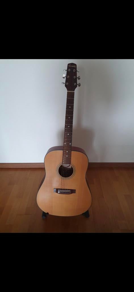 Folk/Western gitaar Landola D-200, Ophalen