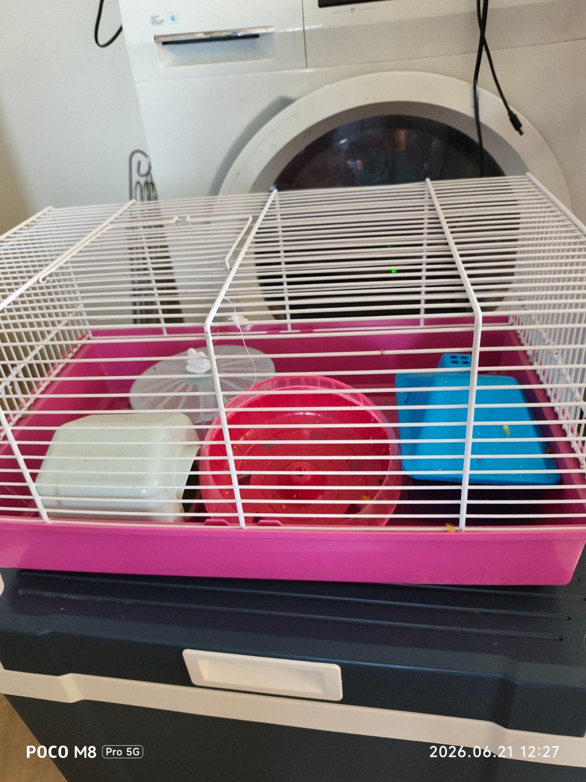 Hamsterkooi, Dieren en Toebehoren, Ophalen
