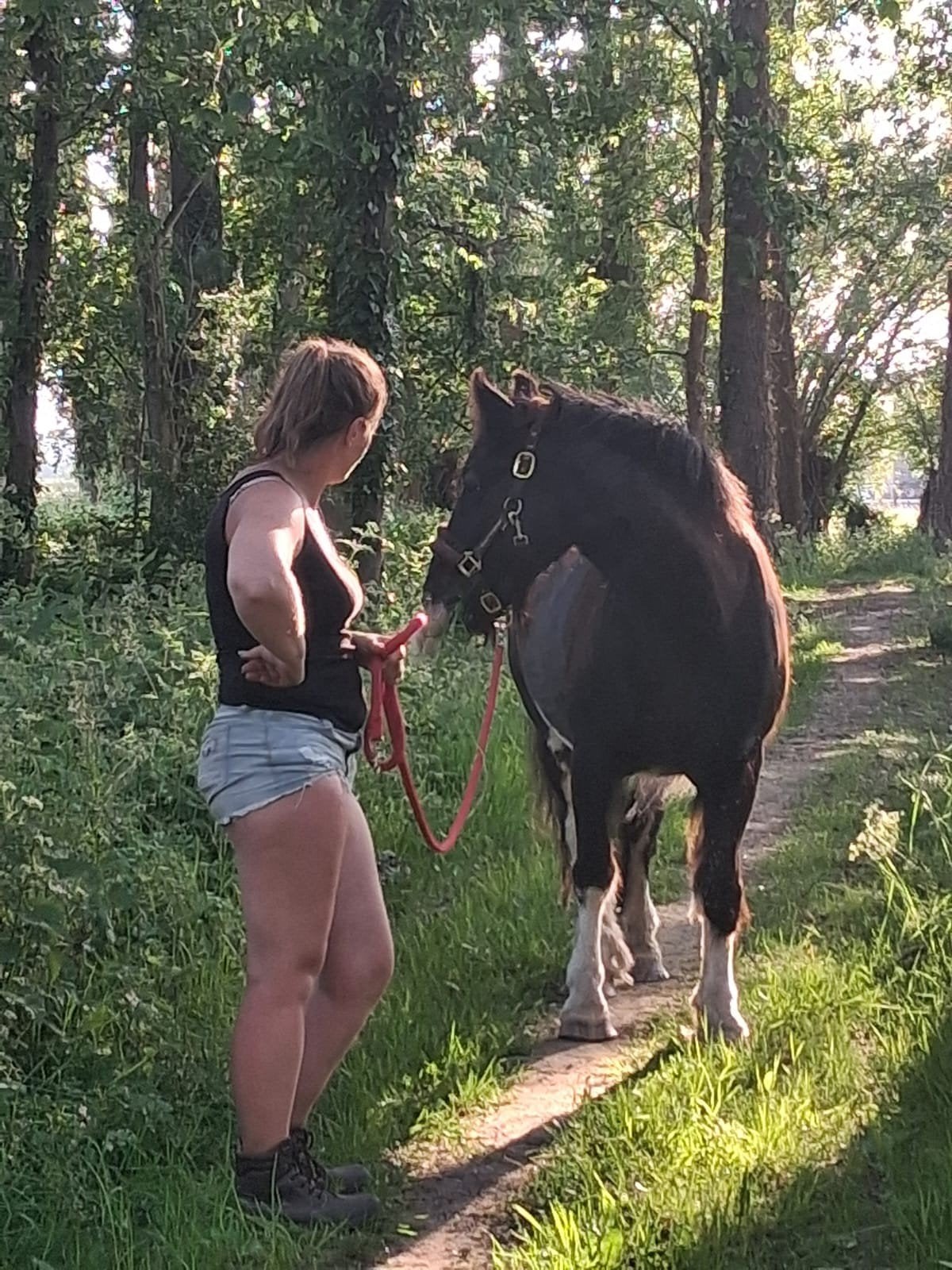Plaats vrij, Dieren en Toebehoren