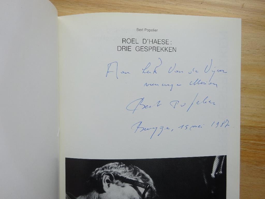 Roel D'Haese, monografie Beeld/Spraak, 1987, Peinture et dessin, Enlèvement ou Envoi, Comme neuf, Bert Popelier