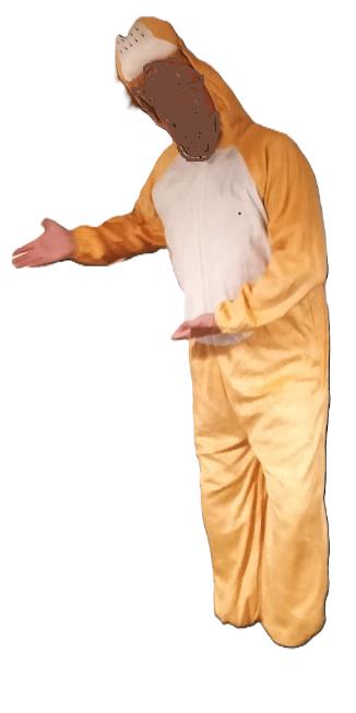 leeuwenpak /Onesie leeuw/ verkleedkleding, Verzenden, Zo goed als nieuw, Maat 52/54 (L), Kleding