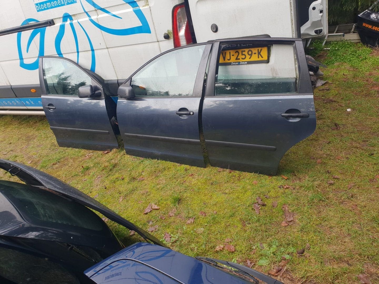 VW POLO PORTIEREN BJ 2002 TOT 2008, Gebruikt, -, Deur, -