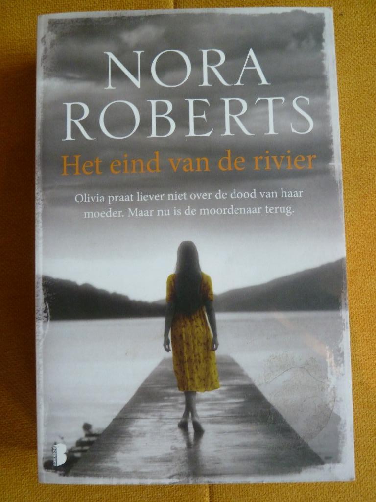 Het eind van de rivier, Livres, Livres Autre, Comme neuf, Enlèvement
