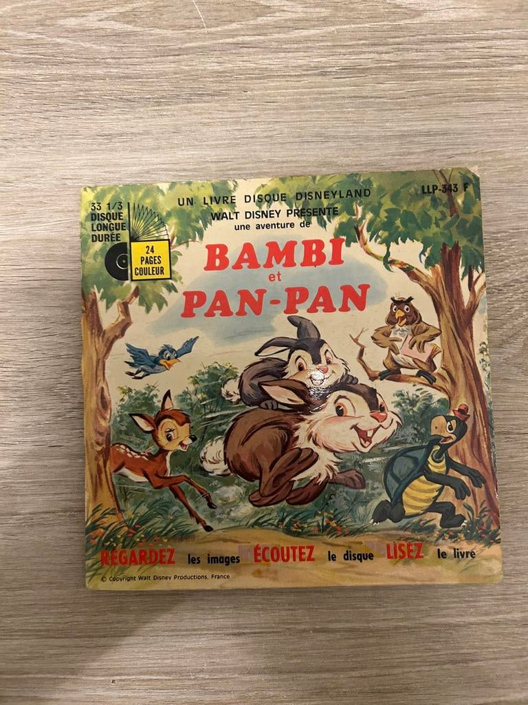 Collection de disque 33 tours et livres Disney, Ophalen, Gebruikt, Overige typen