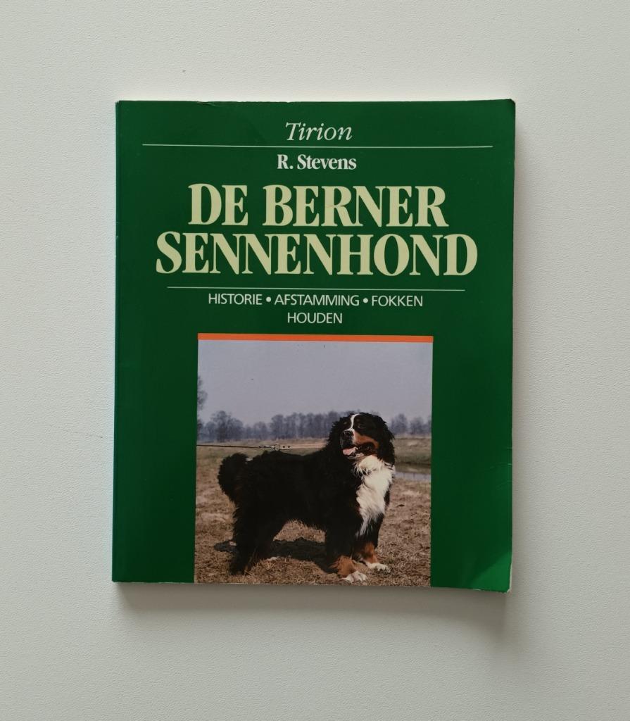 De Berner Sennenhond (R. Stevens), R. Stevens, Enlèvement ou Envoi, Utilisé, Chiens