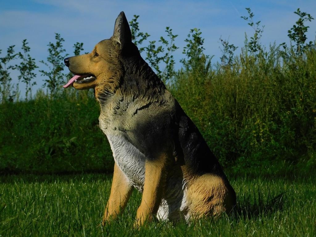 Statue de berger allemand, polystone, très détaillée, Enlèvement ou Envoi, Synthétique, Animal