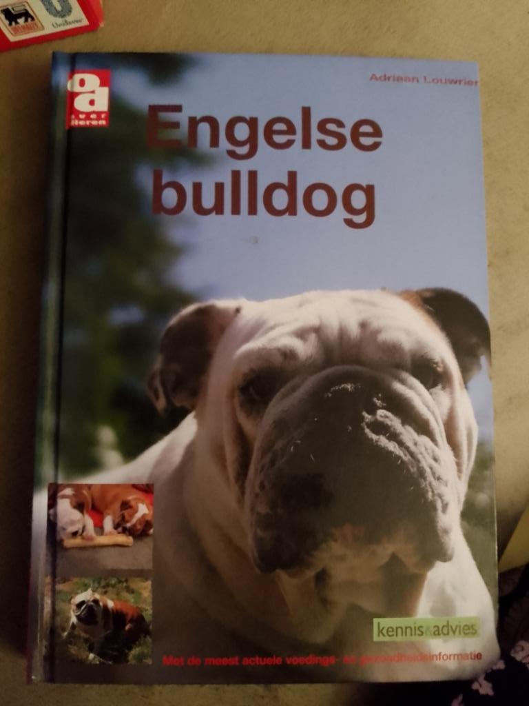 Boek Engelse bulldog, Ophalen of Verzenden