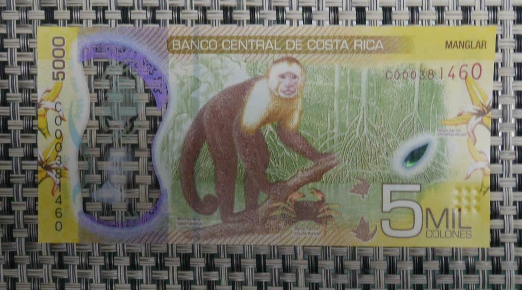 5000 Colones Costa-Rica 2020 UNC-ticket  Polymer, Ophalen of Verzenden, Overige landen, Setje
