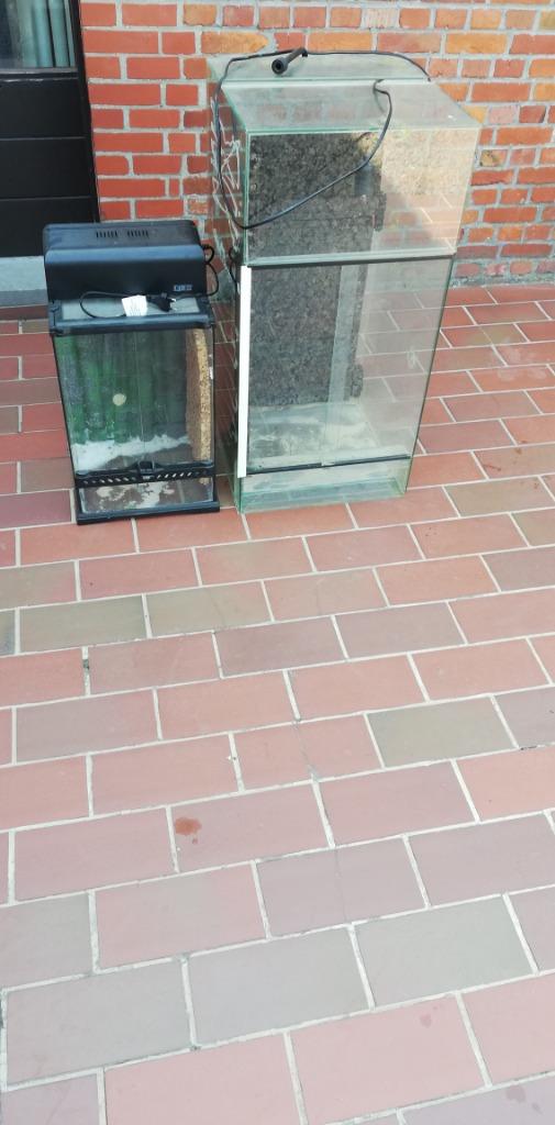 reptielenbak, Ophalen, Gebruikt, Terrarium of Paludarium