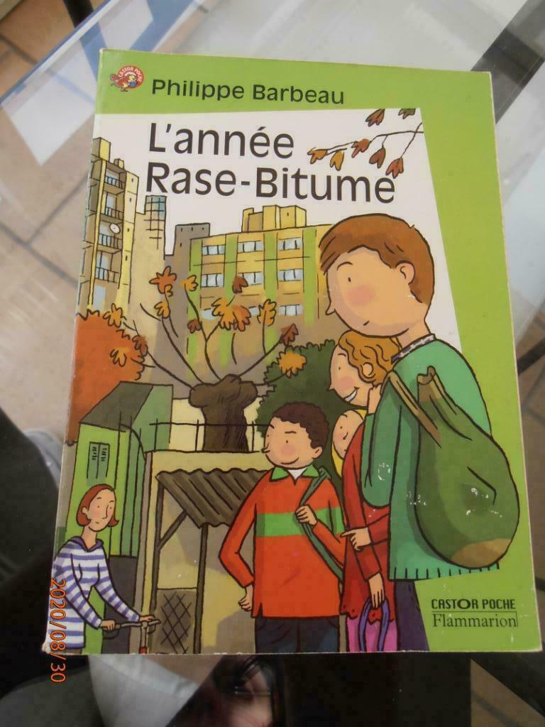 Livre "L'année Rase-Bitume" Ph. BARBEAU – FLAMMARION (1998), Enlèvement ou Envoi, Utilisé, Fiction
