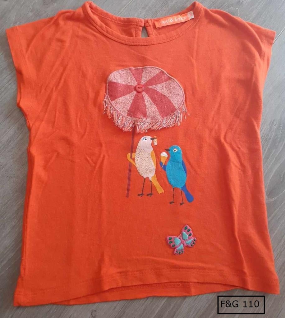 T-shirt Fred & Ginger maat 110 - vogeltjes met ijs, Gebruikt, Meisje, Ophalen of Verzenden, Fred&Ginger