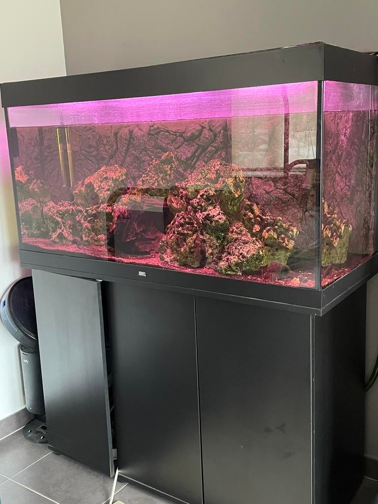 Juwel Rio 240 aquarium met toebehoren, Ophalen, Zo goed als nieuw