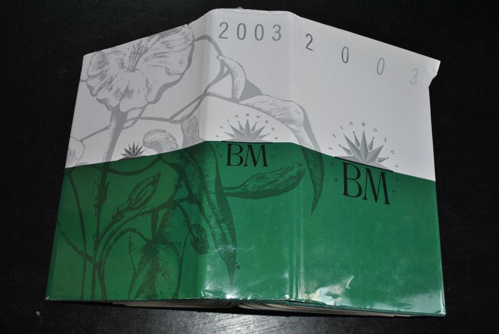 Collectif Bottin mondain 1903 -2003 BM tout Paris France, Ophalen of Verzenden, COLLECTIF, 20e eeuw of later, Gelezen