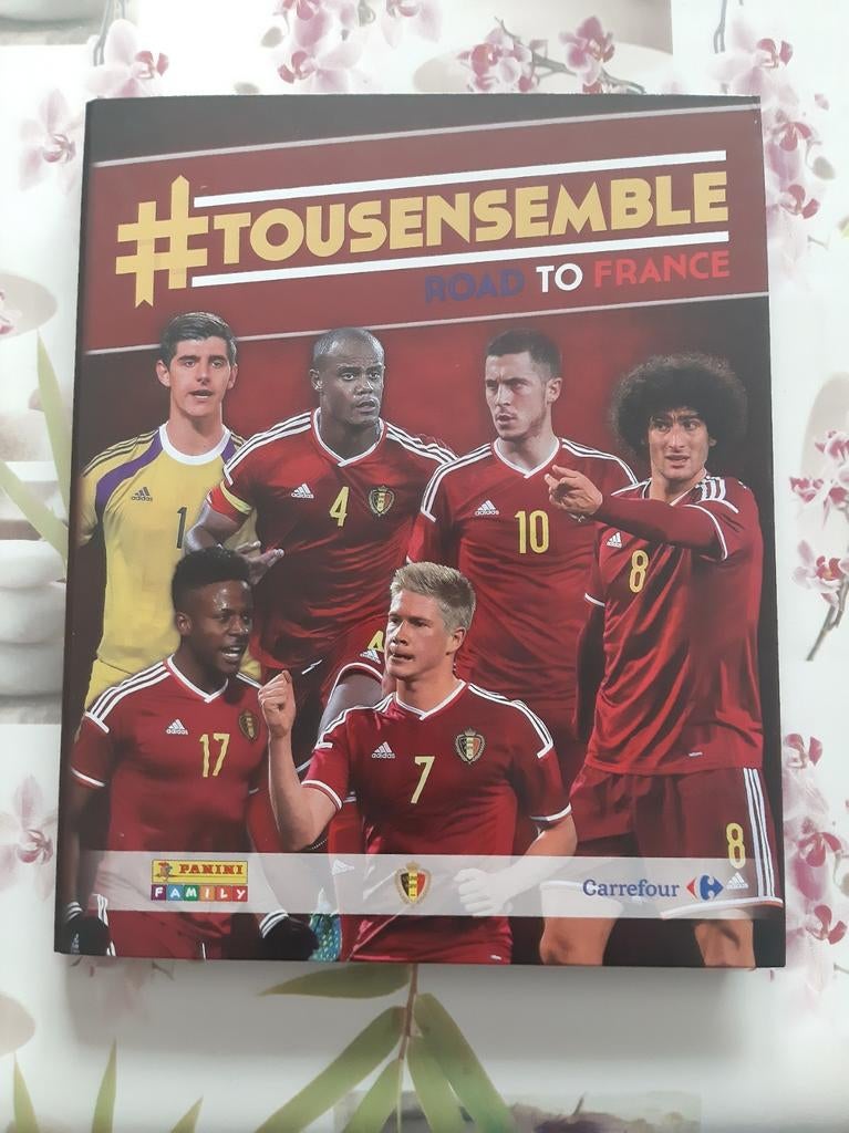 Album panini carrefour 2015, Ophalen of Verzenden, Nieuw