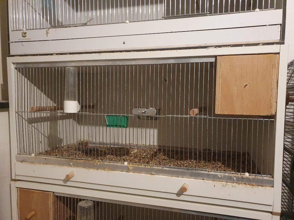 Kweekkooi, Dieren en Toebehoren, Ophalen, Gebruikt, Broedkooi of Kweekkooi