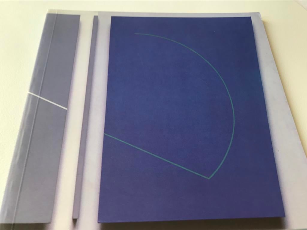 Jean Dubois Peintures 50pag, Ophalen of Verzenden, Zo goed als nieuw, Schilder- en Tekenkunst